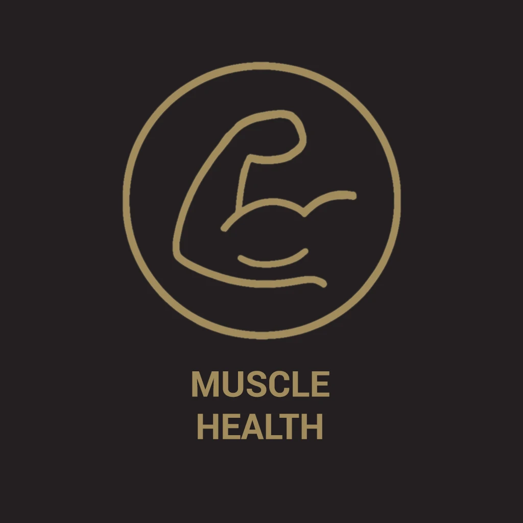 Muskler